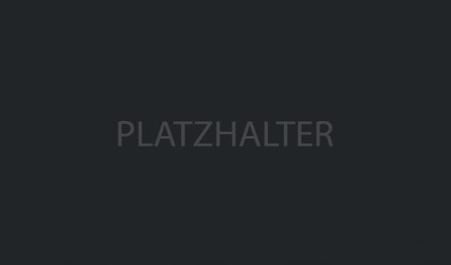 vogt_platzhalter 2 vogt_platzhalter 2