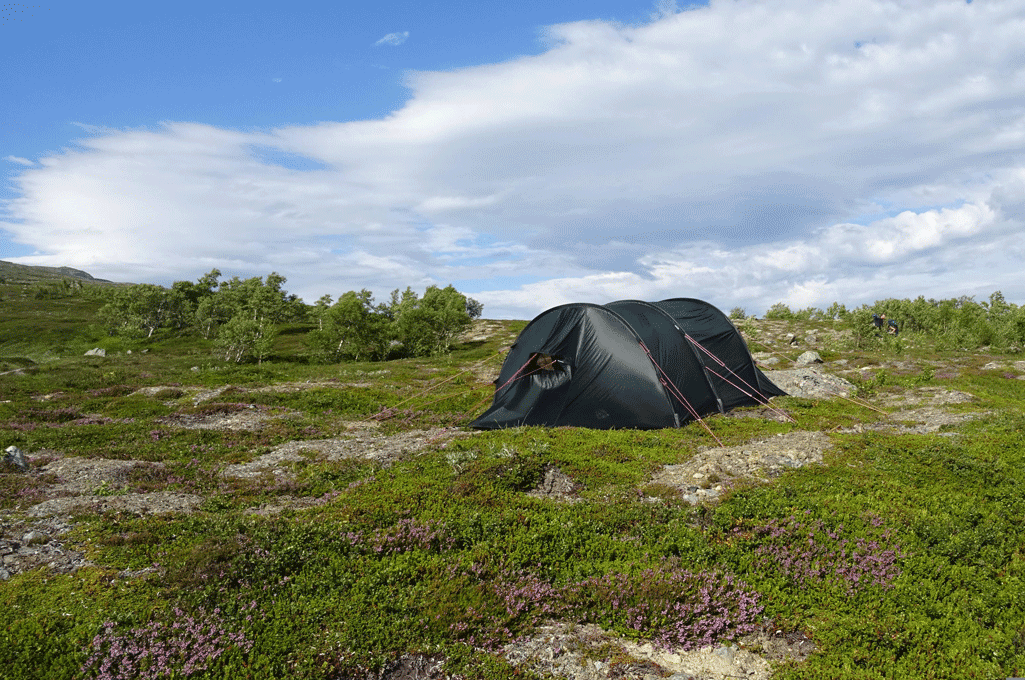 WEB_Hanna-Sjö-auf-Pixabay_tent-6100089