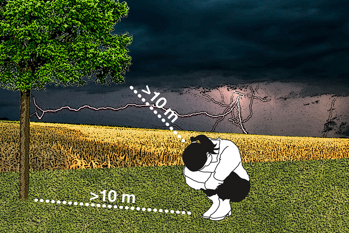 Wichtig: Zu Bäumen Abstandhalten. Grafik: ©VDE e.V.