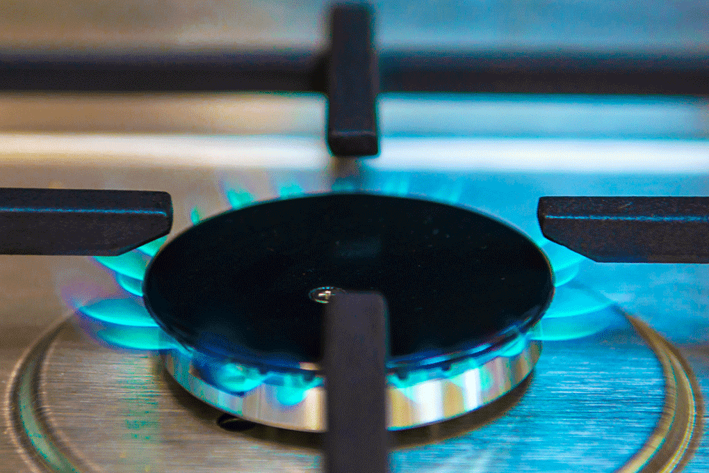 Foto: ©Volker Ammann Foto: ©Volker Ammann