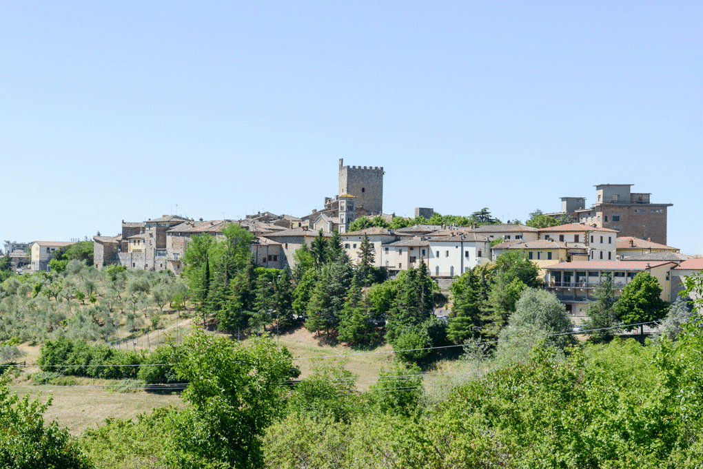 Greve. Foto: ©AdobeStock, fotoember Greve. Foto: ©AdobeStock, fotoember