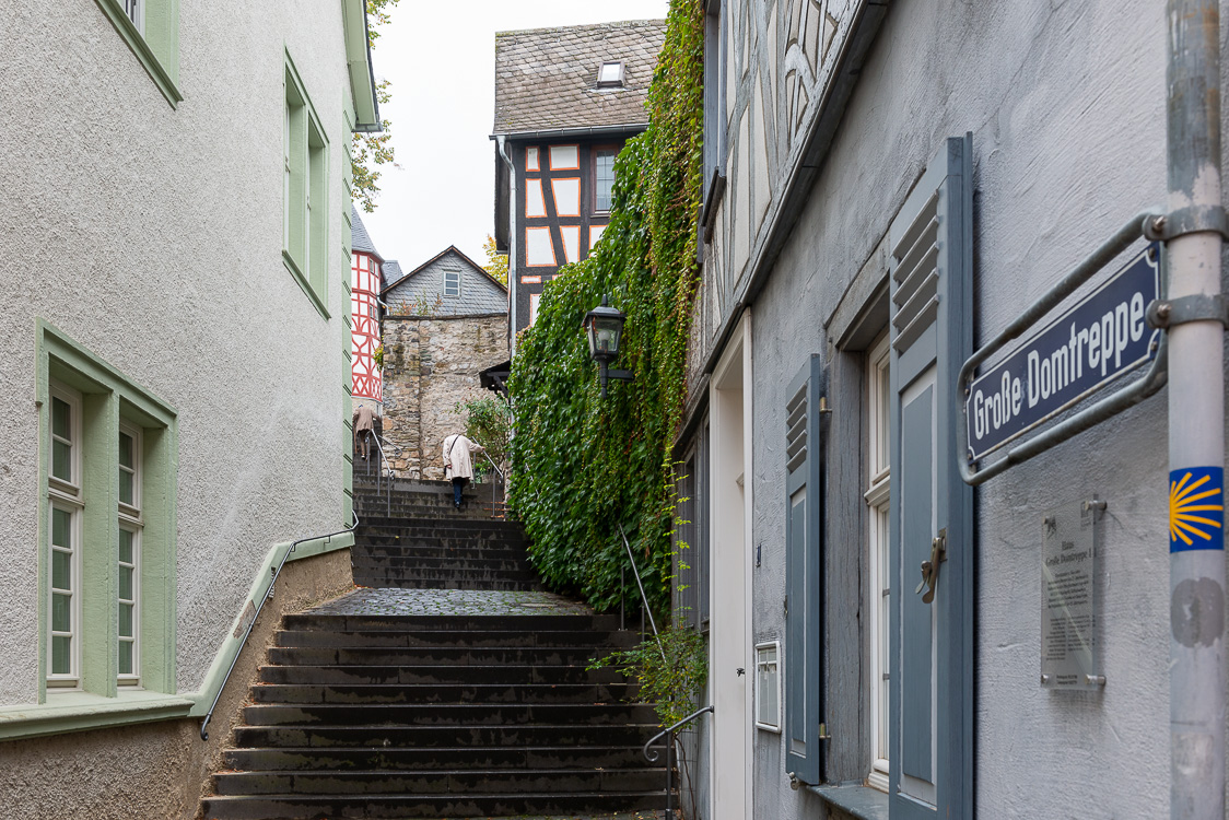 Große Domtreppe: Foto: ©sVolker Ammann