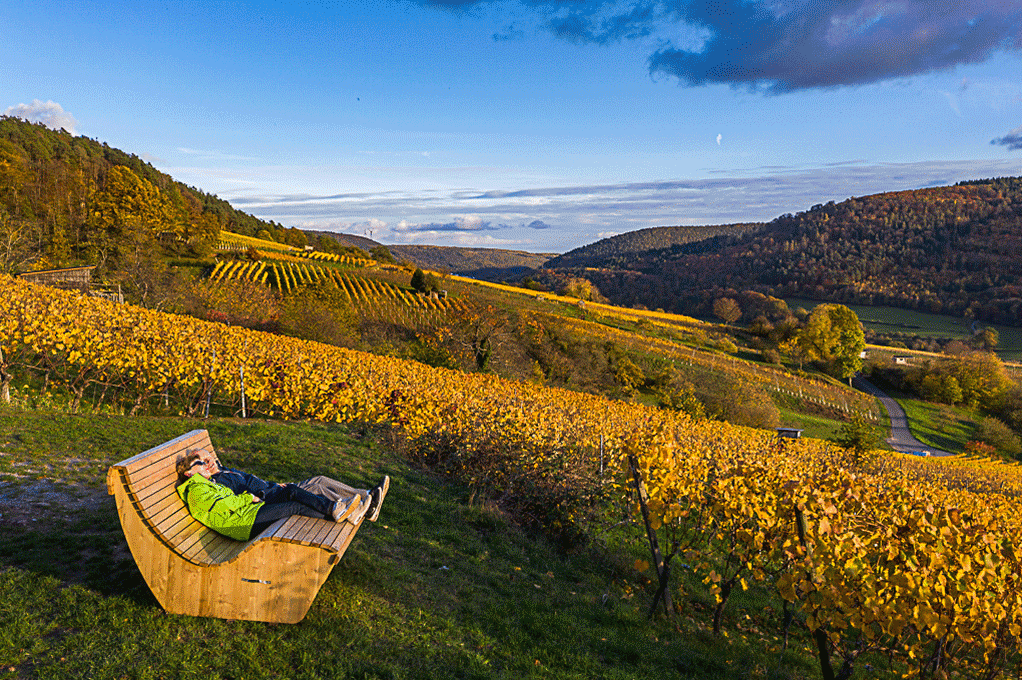 Wanderen in den Weinbergen von Bürgstadt. Foto: ©DREI AM MAIN Tourismusgemeinschaft, Holger Leue Wanderen in den Weinbergen von Bürgstadt. Foto: ©DREI AM MAIN Tourismusgemeinschaft, Holger Leue