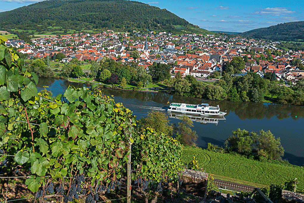 Blick auf Bürgstadt. Anlegestelle am Main. Foto: ©DREI AM MAIN Tourismusgemeinschaft, Bernd Ullrich Blick auf Bürgstadt. Anlegestelle am Main. Foto: ©DREI AM MAIN Tourismusgemeinschaft, Bernd Ullrich