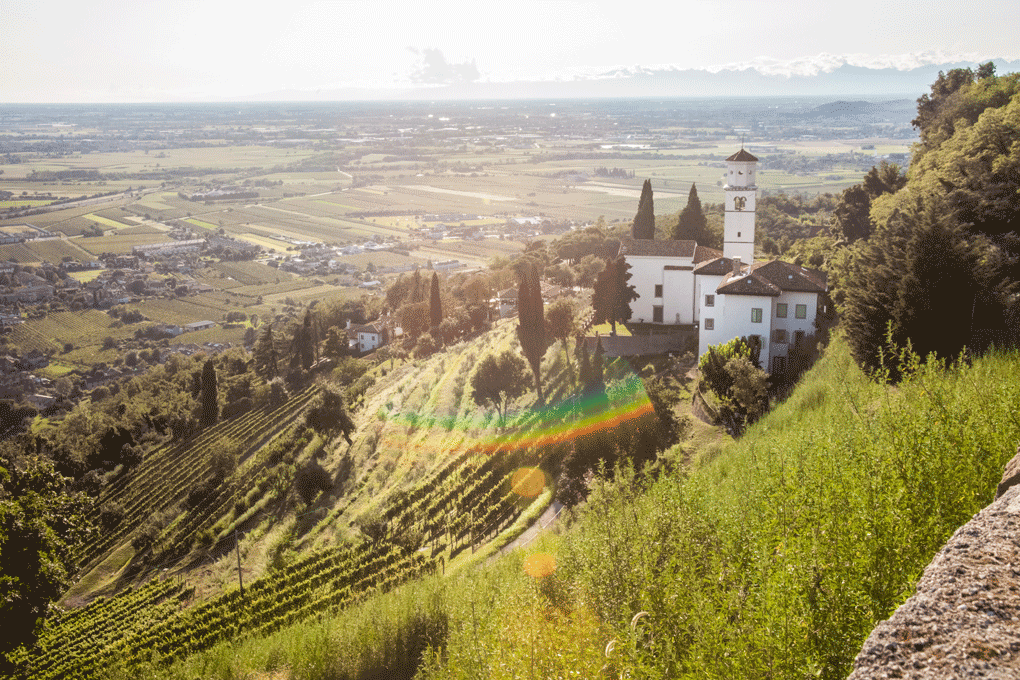 Cormòns. Foto: ©AdobeStock, Giuly Blanchet Cormòns. Foto: ©AdobeStock, Giuly Blanchet